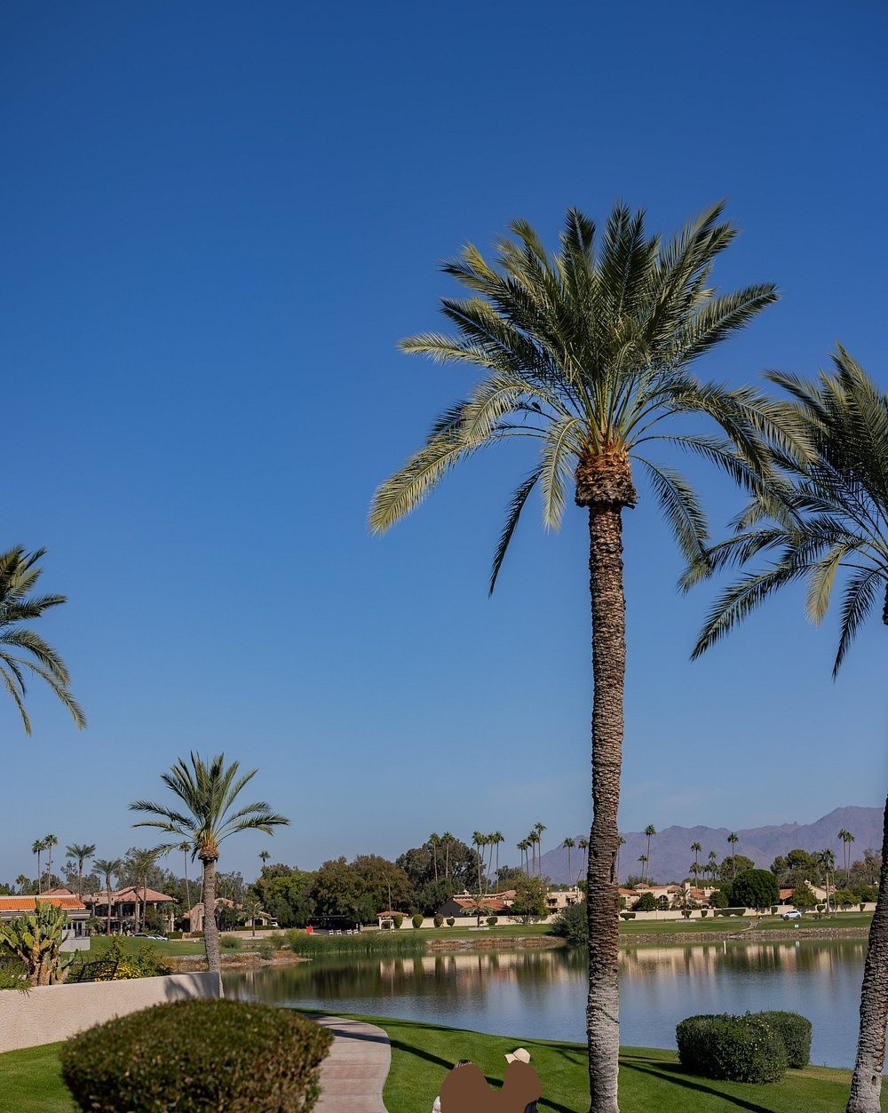 Palm trees reflected on the resort lake